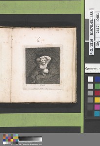 Earth (Plate 5)