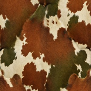 Earthy Boho Cowhide