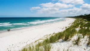 East End Beach Bliss