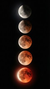 Eclipse Phases Vertical