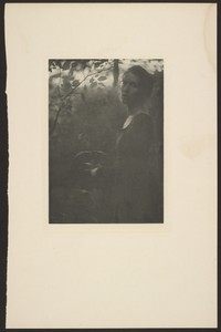 [Edge of the Woods -- Evening]