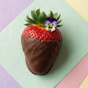 Edible Flower Art