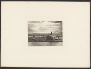 Eel Set, Irstead Shoals