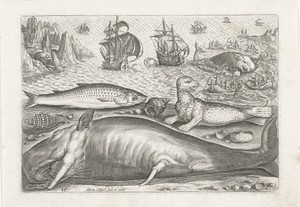 Een harder, een zeeleeuw en een walvis op het strand