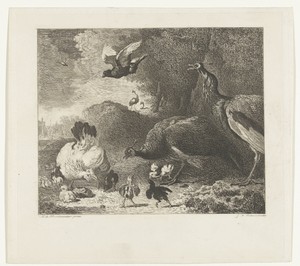 Een hen met kuikens bedreigd door twee pauwen, bekend als 'De bedreigde hen'