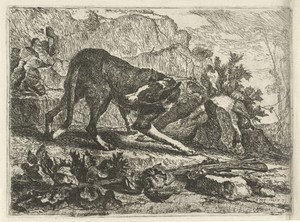 Een hond