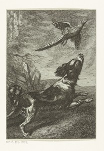 Een hond jaagt een vogel