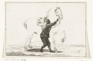 Een jongen houdt een paard aan de toom
