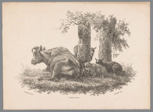 Een koe en drie schapen