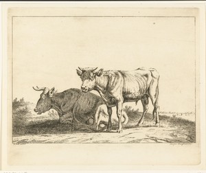 Een koe en een kalf in een weiland