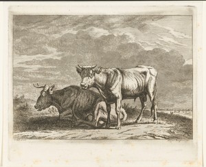 Een koe en een kalf in een weiland