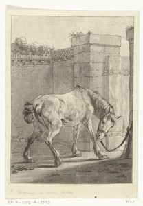 Een paard aan een paal vastgebonden