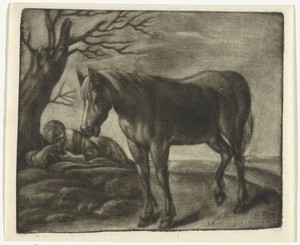 Een paard en een slapende man