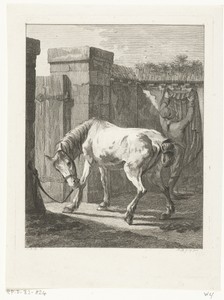 Een paard vastgebonden aan een paal