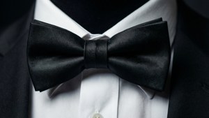 Elegant Black Bowtie Close-Up