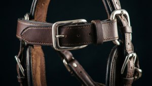 Elegant Leather Bridle