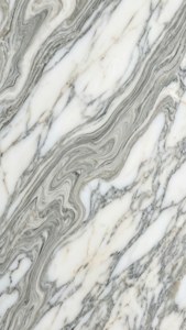 Elegant Marble Swirl
