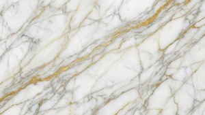 Elegant Marble Veins