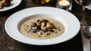 Elegant Mushroom Truffle Chowder
