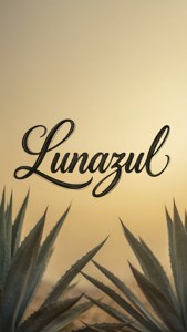 Elegant Script Wordmark