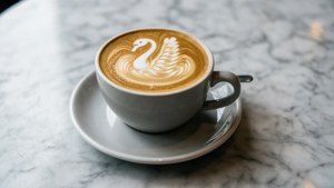 Elegant Swan Latte