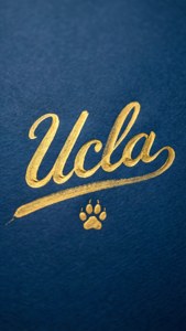 Elegant UCLA Cursive