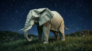 Elephant Under Starry Sky