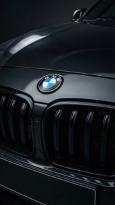 Emblem Detail