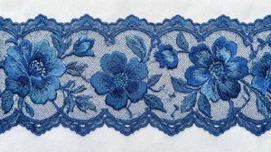 Embroidered Blue Floral Lace