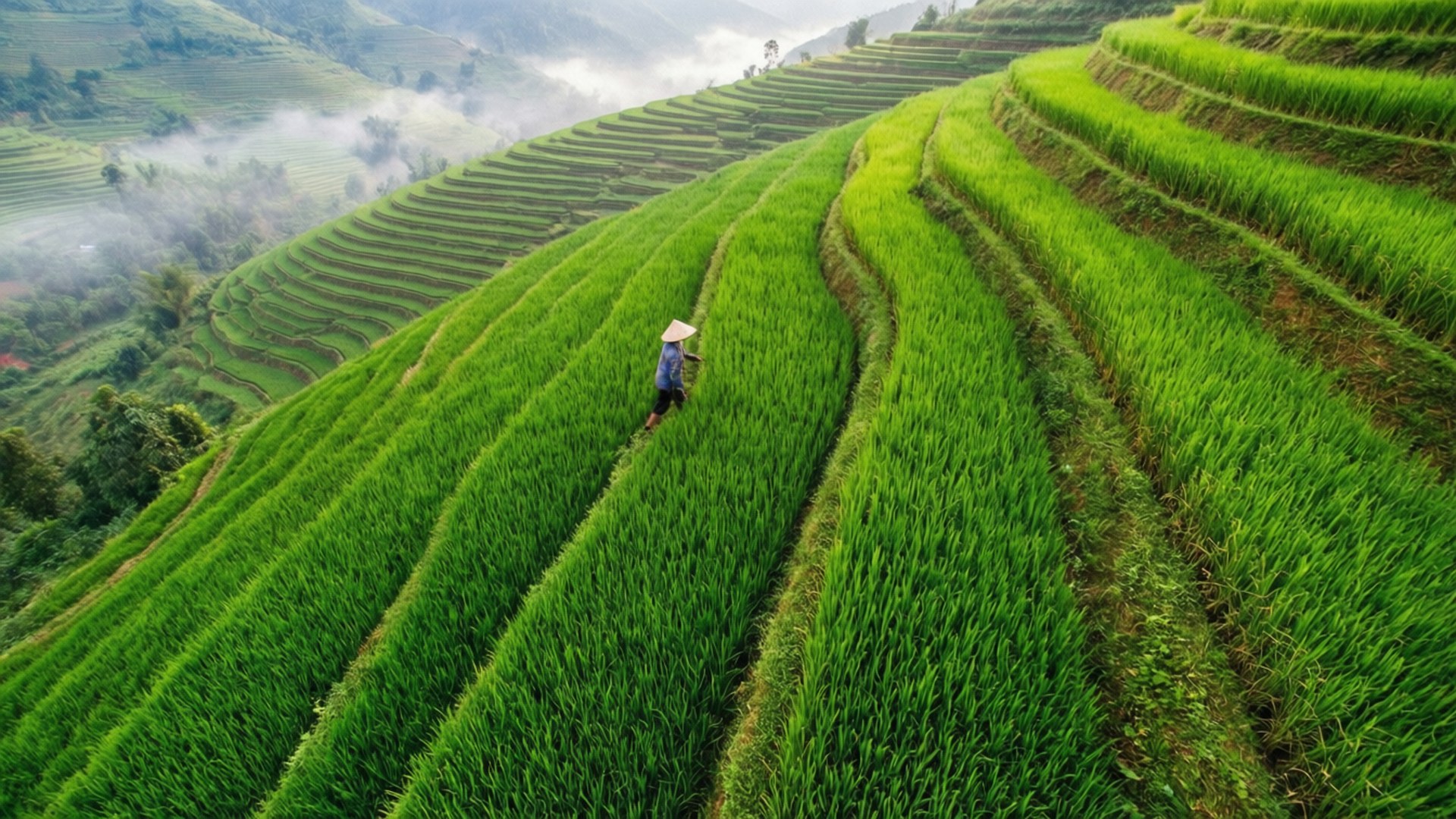 Emerald Terraces by Wallpapers.art Studio