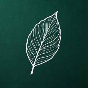 Emerald White Leaf