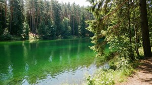 Emerge Green Lakes