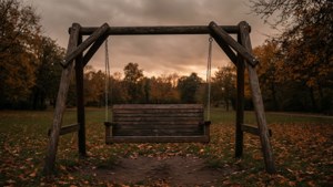 Empty Swing Set