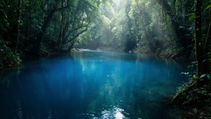 Enchanted River Mystery