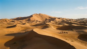 Endless Desert Dunes