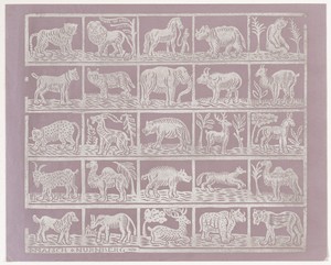 Endpaper with Animals