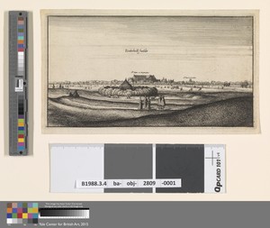 English Views: Tootehill Fields