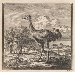 Enkele figuren kijken naar een struisvogel