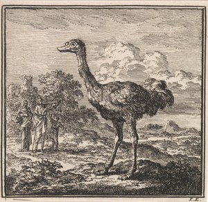 Enkele figuren kijken naar een struisvogel