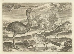 Enkele vogels in een landschap
