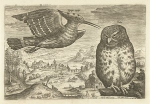 Enkele vogels in een landschap