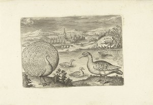 Enkele vogels in een landschap