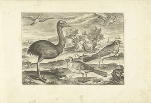 Enkele vogels in een landschap