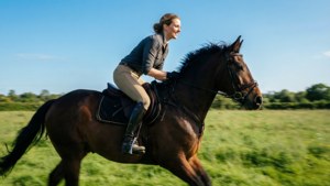 Equestrian Dream