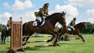 Equestrian Jump