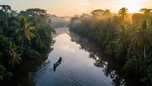 Essequibo River Morning