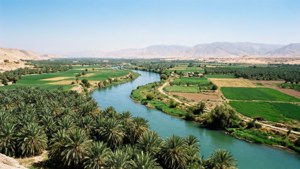 Euphrates River Farmland