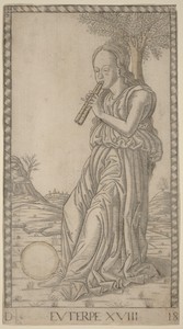 Euterpe