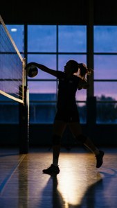 Evening Serve Silhouette