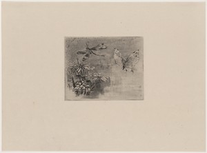 Ex-libris papillon et libellule